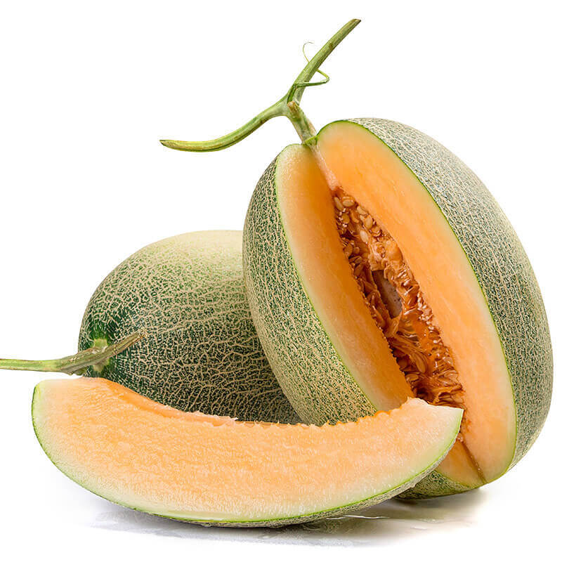 Cantaloupe Drying Process